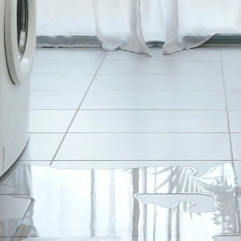 Appliance Leak Cleanup in Savannah, MO